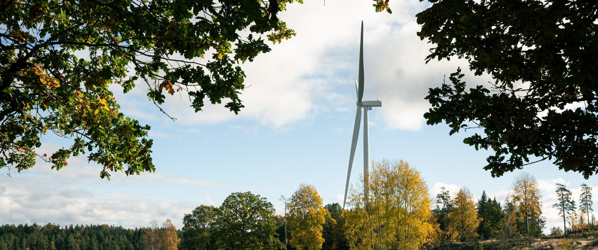 Vindkraftverk i ett skogsområde som illustrerar Björkkärret Hybridpark